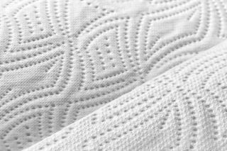 Zewa Stella Close Up